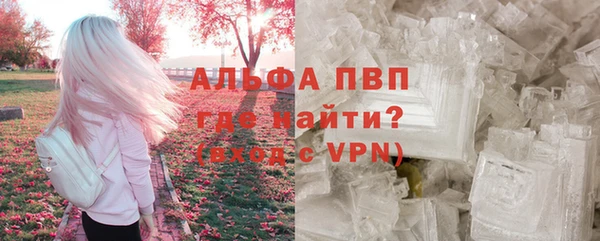 гашик Балахна