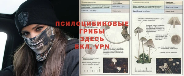mdpv Балабаново