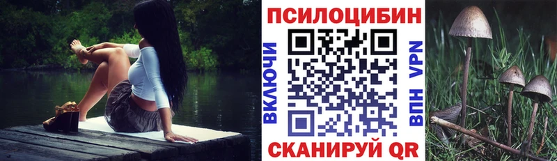 Псилоцибиновые грибы прущие грибы  Богучар 